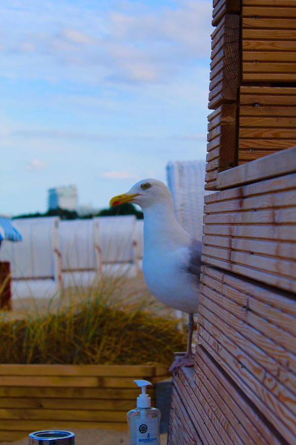 Seaside Lodge Suesel, Luebecker Bucht, Ostsee Eksteriør billede